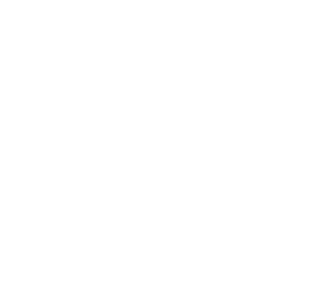 Optical prism